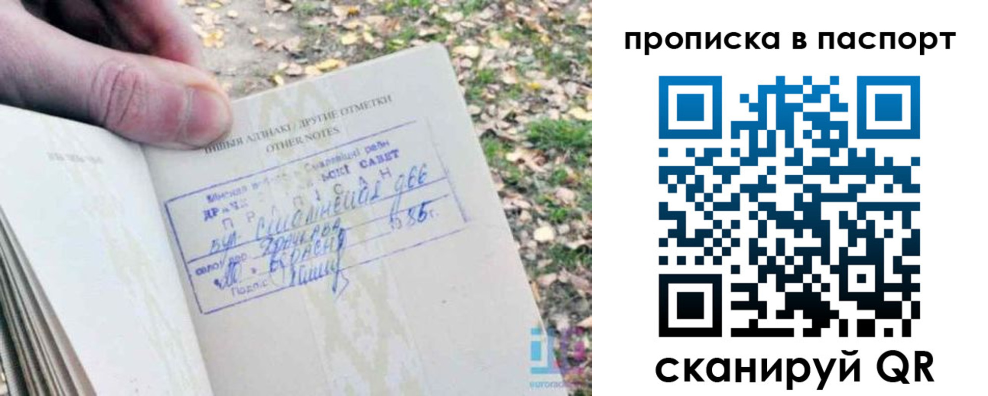 купить прописку в Михайлове